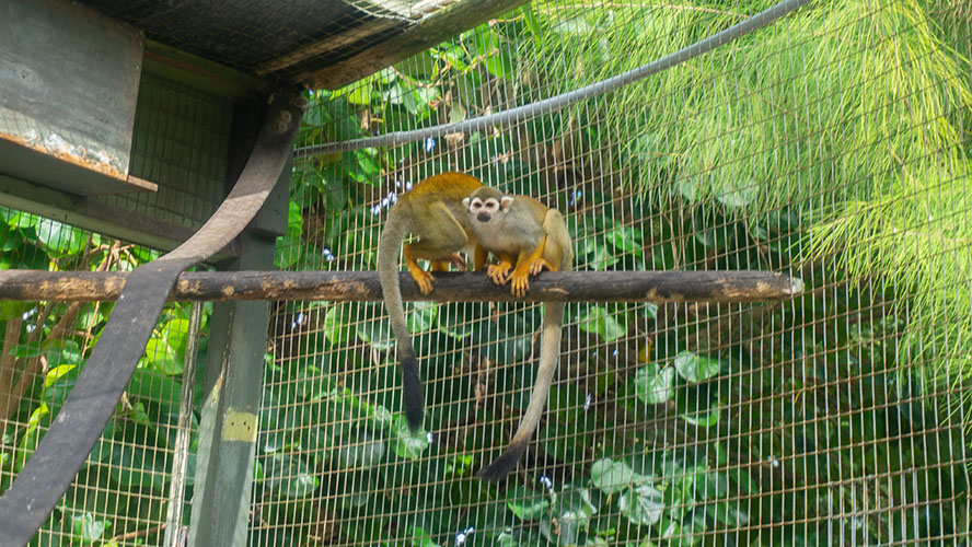 Periwinkle Park Sanibel Island Campground