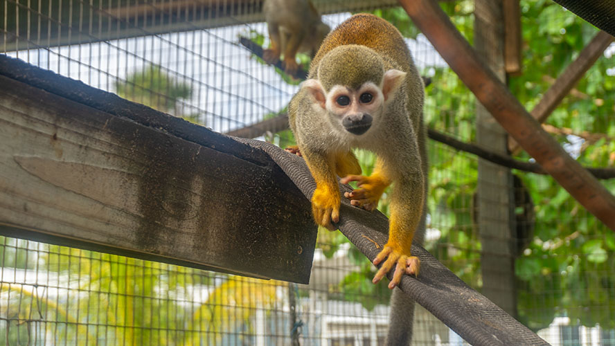 Periwinkle Park Sanibel Island Campground