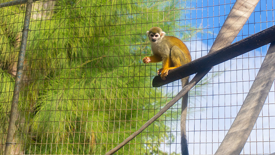 Periwinkle Park Sanibel Island Campground
