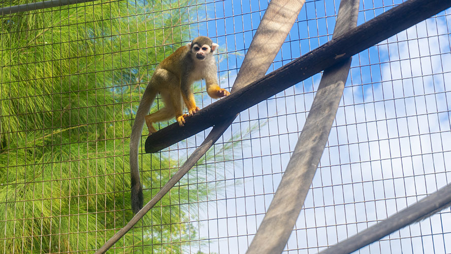 Periwinkle Park Sanibel Island Campground