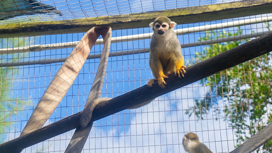 Periwinkle Park Sanibel Island Campground