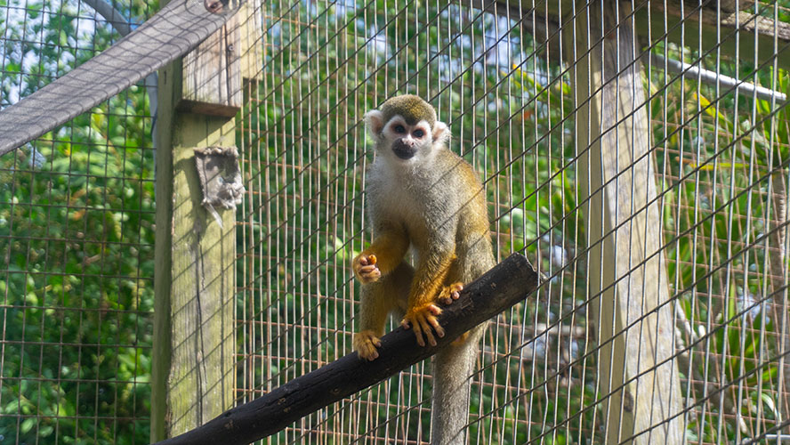 Periwinkle Park Sanibel Island Campground